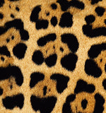 a close up of a leopard print fabric