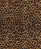 a brown and black animal print fabric