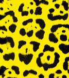 a yellow and black animal print background
