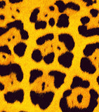 a close up of a leopard print fabric