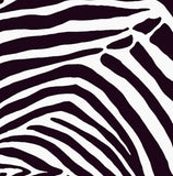a black and white picture of a zebra's head