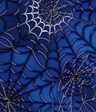a close up of a spider web on a blue background