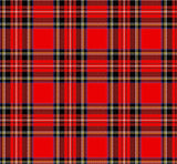 a red and black plaid fabric