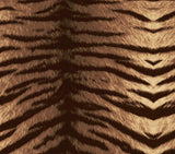 a close up of a tiger stripe pattern