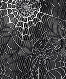 a black and white photo of a spider web