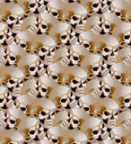 a lot of skulls that are on a wall