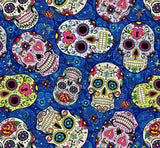 a group of colorful skulls on a blue background