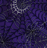 a close up of a spider web on a purple background